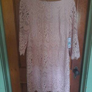 Pink Lace Knee Length Dress